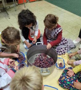 {{brizy_dc_image_alt imageSrc=