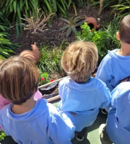 {{brizy_dc_image_alt imageSrc=