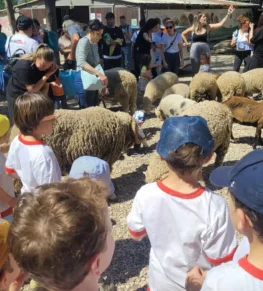 {{brizy_dc_image_alt imageSrc=