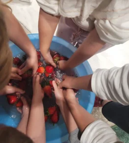 {{brizy_dc_image_alt imageSrc=